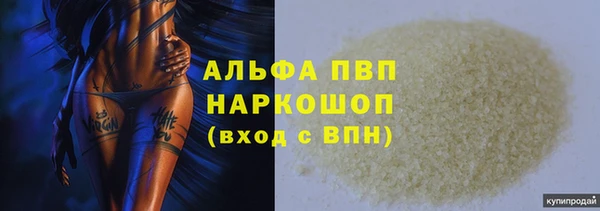 ECSTASY Коряжма