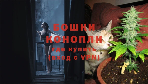 ECSTASY Коряжма