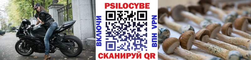 наркота  hydra   Псилоцибиновые грибы MAGIC MUSHROOMS  Орехово-Зуево 