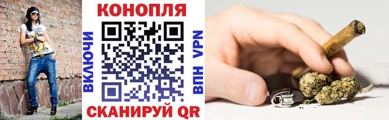 Шишки марихуана семена  Орехово-Зуево 
